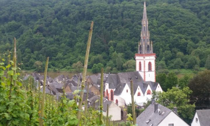 Gutshof Zenz Weingut